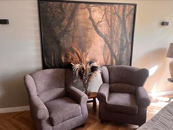 2 prachtige fauteuils