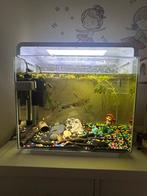 Superfish home 40 compleet., Dieren en Toebehoren, Ophalen, Zo goed als nieuw, Gevuld zoetwateraquarium