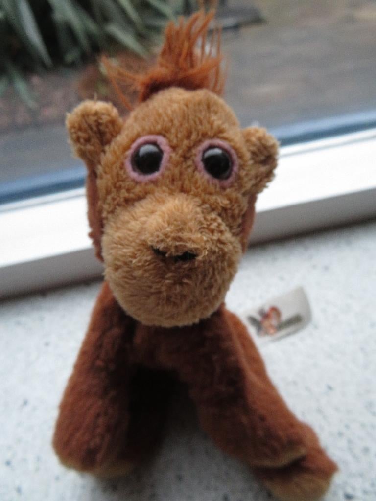 Aap aapje Orang Oetan van Apenheul Petjes World, Ophalen of Verzenden, Zo goed als nieuw, Overige typen