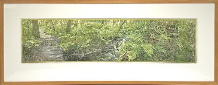 Kleurenhoutsnede Siemen Dijkstra,, Antiek en Kunst, Kunst | Litho's en Zeefdrukken, Ophalen of Verzenden