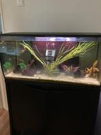 Complete Fluval Aquarium, met toebehoren., Ophalen, Gebruikt, Leeg aquarium