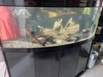 Aquarium met ledverlichting 450 liter, Dieren en Toebehoren, Vissen | Aquaria en Toebehoren, Ophalen, Zo goed als nieuw, Leeg aquarium