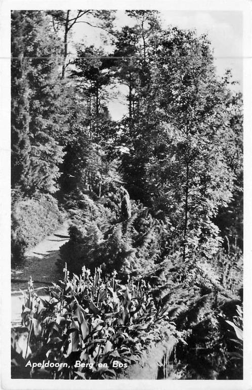 (381-005-027) Apeldoorn Berg en Bos, Verzamelen, Ansichtkaarten | Nederland, Gelderland, Verzenden