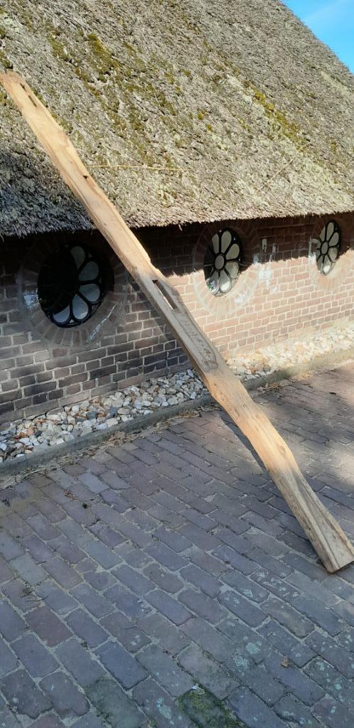 Eiken plank / boomstamplank, Doe-het-zelf en Verbouw, Hout en Planken, Plank, Eiken, 300 cm of meer, 25 tot 50 mm, Ophalen