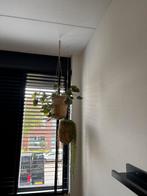 Twee hang manden incl kunstplanten, Huis en Inrichting, Woonaccessoires | Wanddecoraties, Ophalen, Zo goed als nieuw