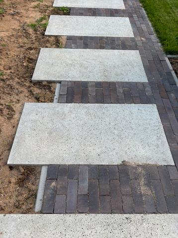 1 oud hollandse schellevis tegel 120 x 60 cm 7 cm dik beschikbaar voor biedingen