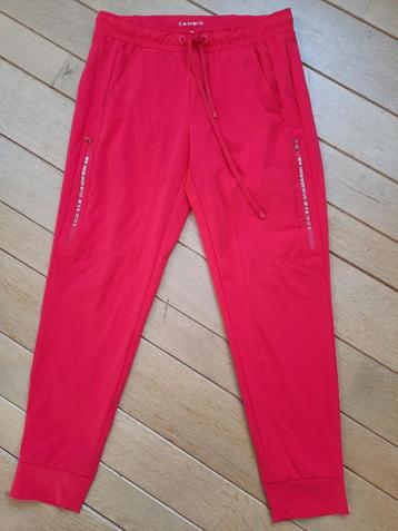 Cambio Sport broek Jordan rood maat 38 - nieuw - beschikbaar voor biedingen