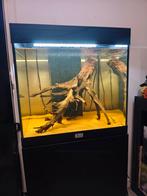 Vierkant aquarium met verlichting en kast, Ophalen, Zo goed als nieuw, Leeg aquarium
