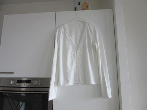 Vestje merk SANDWICH maat M/L wit, Kleding | Dames, Truien en Vesten, Gedragen, Wit, Ophalen of Verzenden