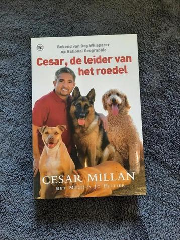 boek leider van de roedel beschikbaar voor biedingen