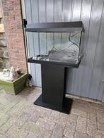 Aquarium, Dieren en Toebehoren, Vissen | Aquaria en Toebehoren, Ophalen, Gebruikt