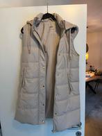 Zara bodywarmer dames, Ophalen of Verzenden, Zo goed als nieuw, Maat 34 (XS) of kleiner, Beige