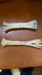 Schaatsen, glissen, 1500. (3x), Antiek en Kunst, Ophalen of Verzenden