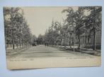 Velp zeer oud de nieuwe Laan naar Rozendaal uniek Velp 1904, Verzamelen, Verzenden, Voor 1920, Ongelopen, Gelderland