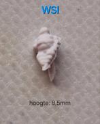 MICHELIN popje (pin onder), Ophalen of Verzenden, Nieuw, Bus of Vrachtwagen, Wsi