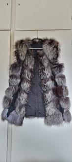 Zilvervos Bontjas Vestje, Maat 38/40 (M), Wit, Ophalen of Verzenden, Zo goed als nieuw