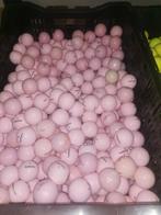 Pinnacle soft golfballen roze 50 stuks, Ophalen of Verzenden, Zo goed als nieuw