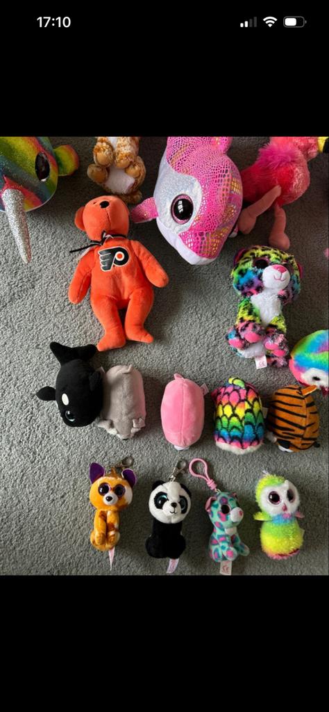 Ty Beanie Boo Collectie / ook los te koop, Ophalen of Verzenden, Zo goed als nieuw, Overige typen