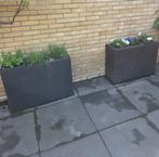 Planten zuil 2 x, Ophalen of Verzenden, Zo goed als nieuw