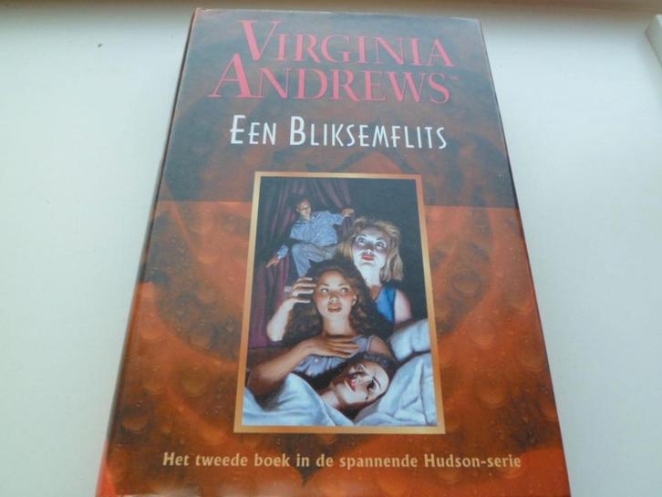 2 x Virginia Andrews, Boeken, Romans, Zo goed als nieuw, Ophalen of Verzenden