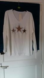 Nieuw! v hals truitje met sterren bling voorop 44, Kleding | Dames, Truien en Vesten, Ophalen of Verzenden, Nieuw, Maat 42/44 (L)