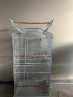 Vogelkooi, Ophalen, Metaal, Vogelkooi