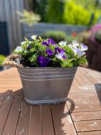 Zinken plantenbak vierkant, Overige materialen, Minder dan 30 cm, Balkon, Minder dan 60 cm
