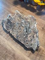 Chalcedoon Plak met Agaat, Ophalen of Verzenden, Mineraal