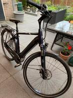 Pegasus Ravenna 8f E-bike, Gebruikt, 51 tot 55 cm, 50 km per accu of meer, Ophalen