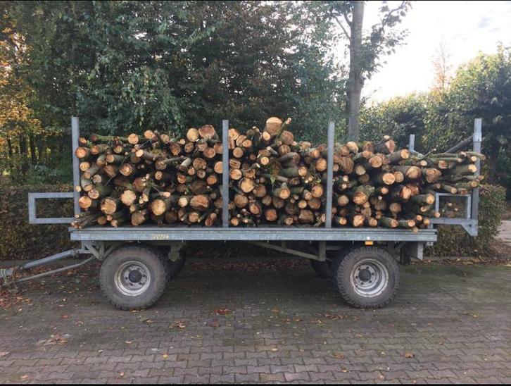 10 kuub haardhout - mix van plantanen en linde., Tuin en Terras, Haardhout, Overige houtsoorten, Ophalen