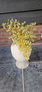 Verse Dadeltak - 40cm, Ophalen of Verzenden, Nieuw
