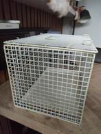 Reismand katten, Dieren en Toebehoren, Katten-accessoires, Ophalen of Verzenden