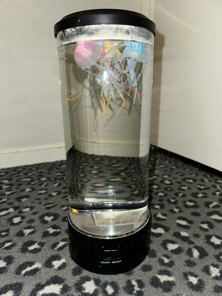 Kwallen Lamp, Antiek en Kunst, Kunst | Designobjecten, Ophalen