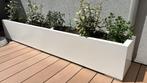 Plantenbakken, Info@plantenbakkenvanstaal.nl, Plantenbakken van Staal, Minder dan 60 cm, Vierkant