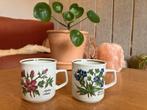 Twee vintage bloemen mokken - Winterling Bavaria, Gebruikt, Ophalen of Verzenden, Overige stijlen, Kop(pen) en/of Schotel(s)