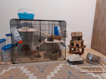 Hamsterkooi beschikbaar voor biedingen
