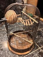 Vogelkooi retro, Ophalen of Verzenden, Zo goed als nieuw, Metaal, Vogelkooi