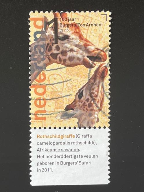 3324 Nederland 2013 NVPH 3030 - Rothschiltgiraffe - gestempe, Postzegels en Munten, Postzegels | Nederland, Gestempeld, Na 1940