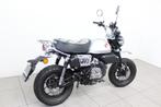 Honda MONKEY Z 125 (bj 2024), Motoren, Motoren | Honda, Bedrijf, 11 kW of minder, Naked bike, 124 cc