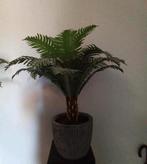 Ikea kunstpalm met pot, Ophalen, Zo goed als nieuw