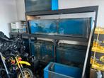 Kweekstelling 6 aquariums, Ophalen, 5222bh, Gebruikt, Info@carport.nl