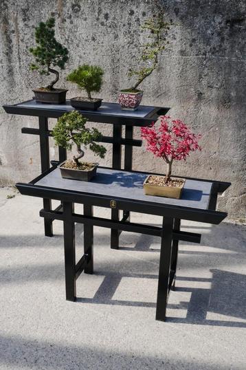 Bonsai Meubel - Semai Torii - VTH beschikbaar voor biedingen