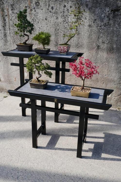 Bonsai Meubel - Semai Torii - VTH, Tuin en Terras, Planten | Bomen, Ophalen