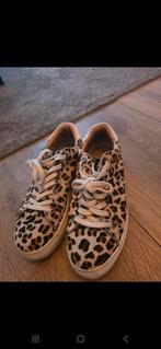 Dames schoen (maat 37), Kleding | Dames, Ophalen of Verzenden, Zo goed als nieuw, Zwart