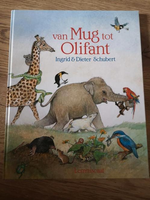 Dieter&Ingrid Schubert - Van mug tot olifant, Boeken, Prentenboeken en Plaatjesalbums, Nieuw, Ophalen of Verzenden