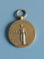 Penning miniatuur trouwe dienst PTT, Ophalen of Verzenden, Brons, Nederland