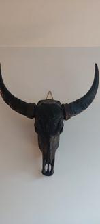 Zwarte luxe Buffel Skull Wanddecoratie, Ophalen, Zo goed als nieuw
