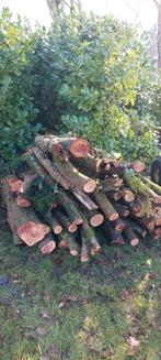 Hout taxus, +/- 1 kuub, Minder dan 3 m³, Ophalen