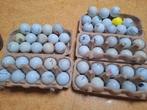 Golfballen 57 stuks. Diverse merken., Ophalen of Verzenden, Zo goed als nieuw, Bal(len), Overige merken