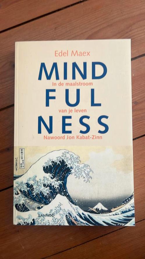 Mindfulness, Boeken, Esoterie en Spiritualiteit, Nieuw, Instructieboek, Overige onderwerpen, Ophalen of Verzenden